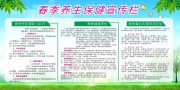小清新春季养生保健宣传栏