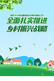 小清新乡村振兴战略海报