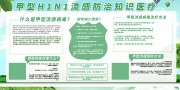 绿色甲型H1N1流感防治知识宣传栏