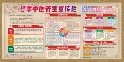 中国风冬季中医养生宣传栏