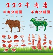 牛羊肉分割展板图片下载