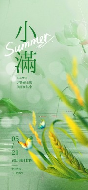 小满节气广告