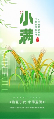 小满二十四节气海报