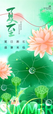 夏至节气海报图片