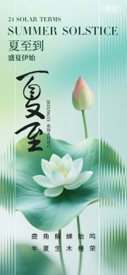 夏至节气海报图片素材
