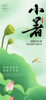 荷花纹理中国风小暑节气海报