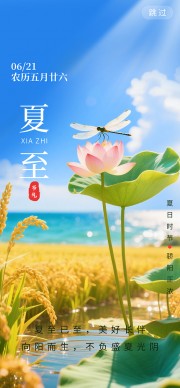 清新风夏日时节夏至广告