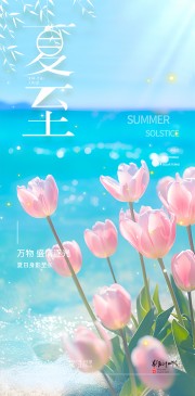 夏至节气宣传图片素材