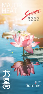 夏至节气海报图片下载