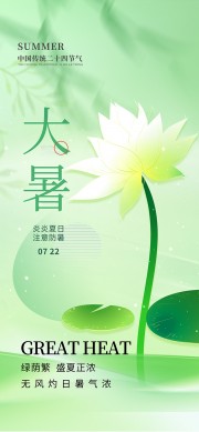 绿色背景大暑图片
