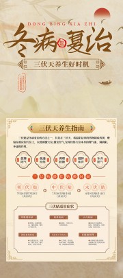 冬病夏治三伏天养生指南展架