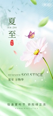 夏至节气图片素材夏至