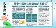 清爽夏季中医养生健康知识展板