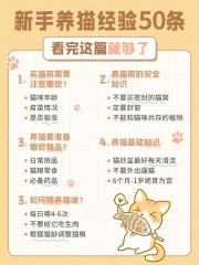 新手养猫经验小红书笔记图片素材