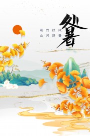 二十四节气处暑广告