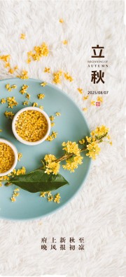 诗意清新二十四节气立秋海报