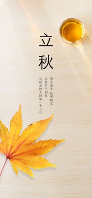 简约创意二十四节气立秋海报