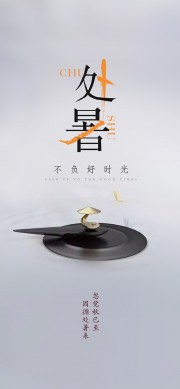 不负好时光传统处暑节气广告