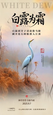 时尚大气创意白露二十四节气海报