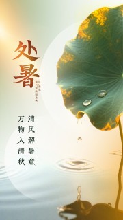 唯美处暑节气海报