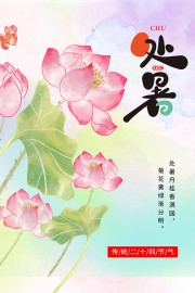 荷花插画处暑节气海报