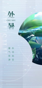 高端时尚感二十四节气处暑广告