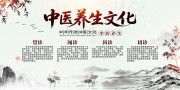 中医养生文化展板