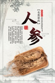 人参药理知识海报