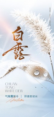 白露传统节气图片素材下载