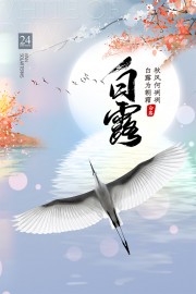 唯美文艺二十四节气白露宣传海报