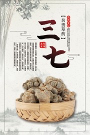 名贵草药三七药理知识海报