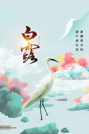 荷花二十四节气白露广告