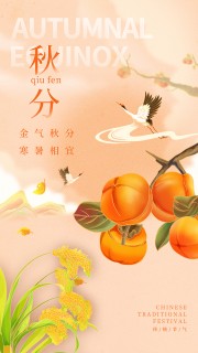 秋分节气广告