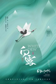 清新中国传统节气白露海报