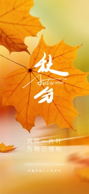 中国传统节气秋分广告