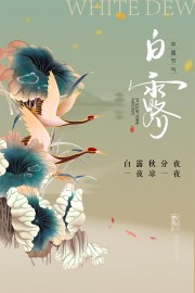 秋意渐浓传统二十四节气白露广告