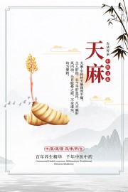 传统中医药天麻药理知识海报