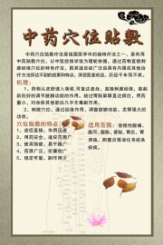中药穴位帖敷养生图片素材