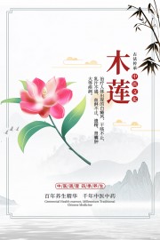 传统中医药木莲药理知识宣传图片素材
