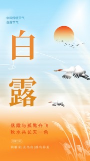 白露节气广告模板