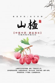 传统中医药山楂药理知识海报