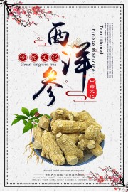 养生珍品西洋参药理知识广告
