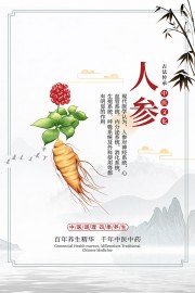 传统中医药人参药理知识海报