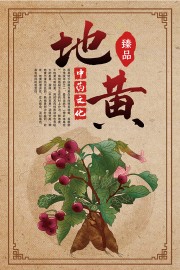 地黄药理知识宣传海报
