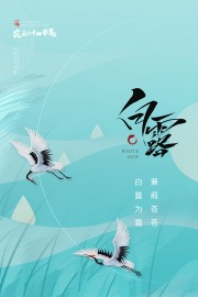 浅蓝唯美白露节气广告