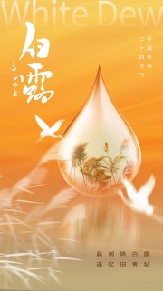 二十四节气白露广告