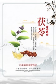 传统中医药茯苓药理知识海报图片素材