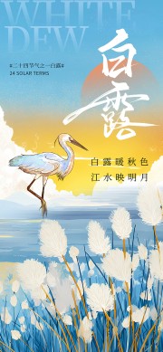 白露节气海报图片素材