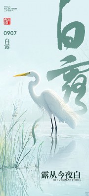 简约白露节气广告