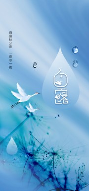 传统节气白露的海报图片素材